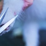 Be Prepared Contact a Personal Injury Lawyer Right Away