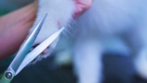 Be Prepared Contact a Personal Injury Lawyer Right Away