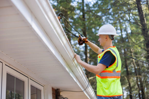 Expert Gutter Replacement Services in Indianapolis