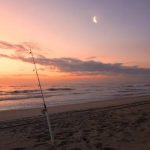 Deep Sea Adventures Await in Panama City Beach