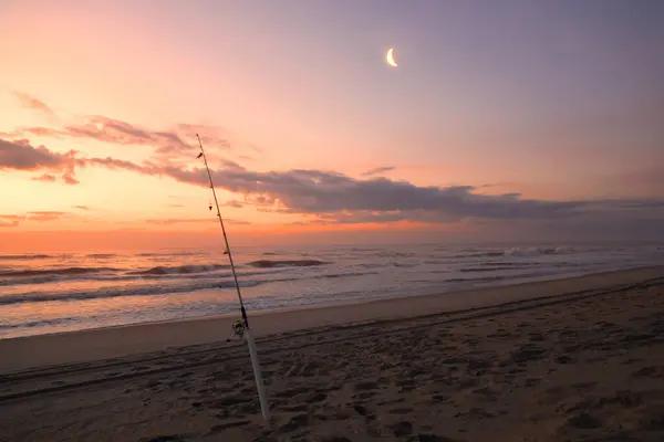 Deep Sea Adventures Await in Panama City Beach