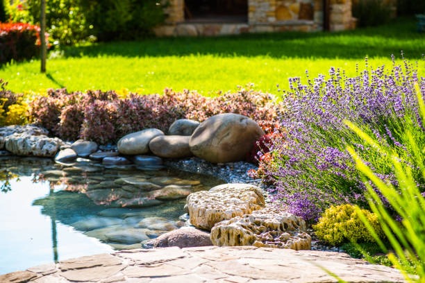 Creative Landscaping Ideas to Transform Your Outdoor Space